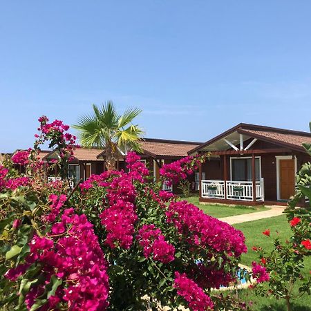 Sedir Park - Beach Bungalow Kargicak  Kültér fotó