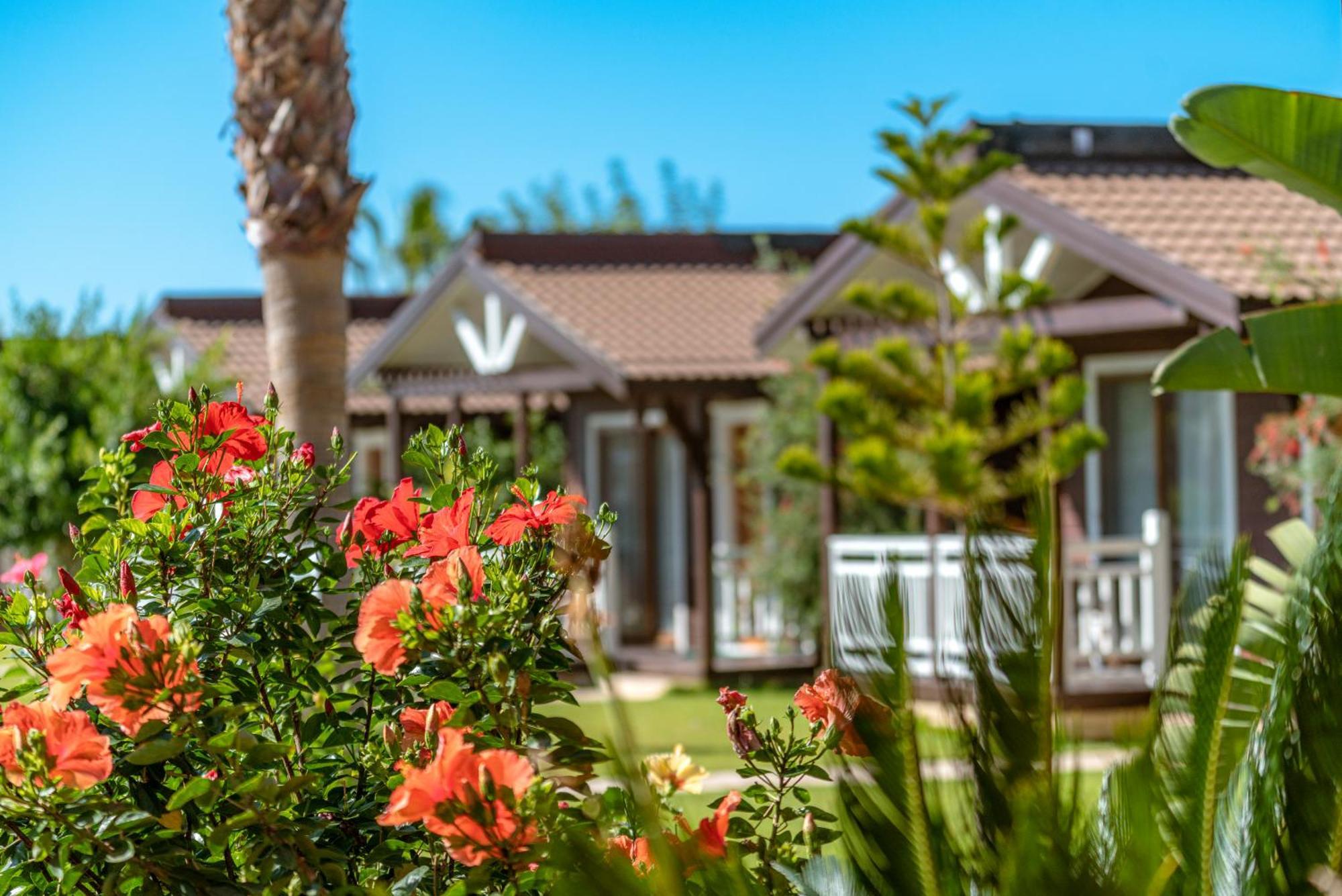 Sedir Park - Beach Bungalow Kargicak  Kültér fotó