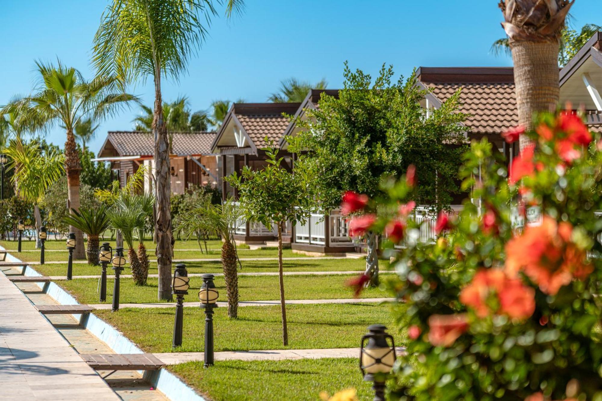 Sedir Park - Beach Bungalow Kargicak  Kültér fotó