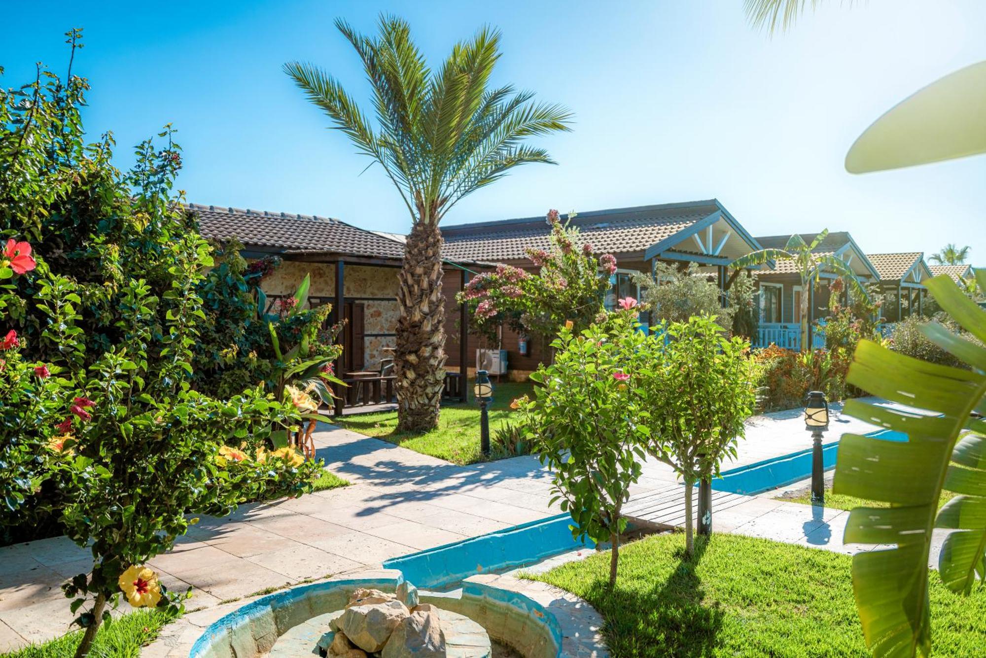 Sedir Park - Beach Bungalow Kargicak  Kültér fotó