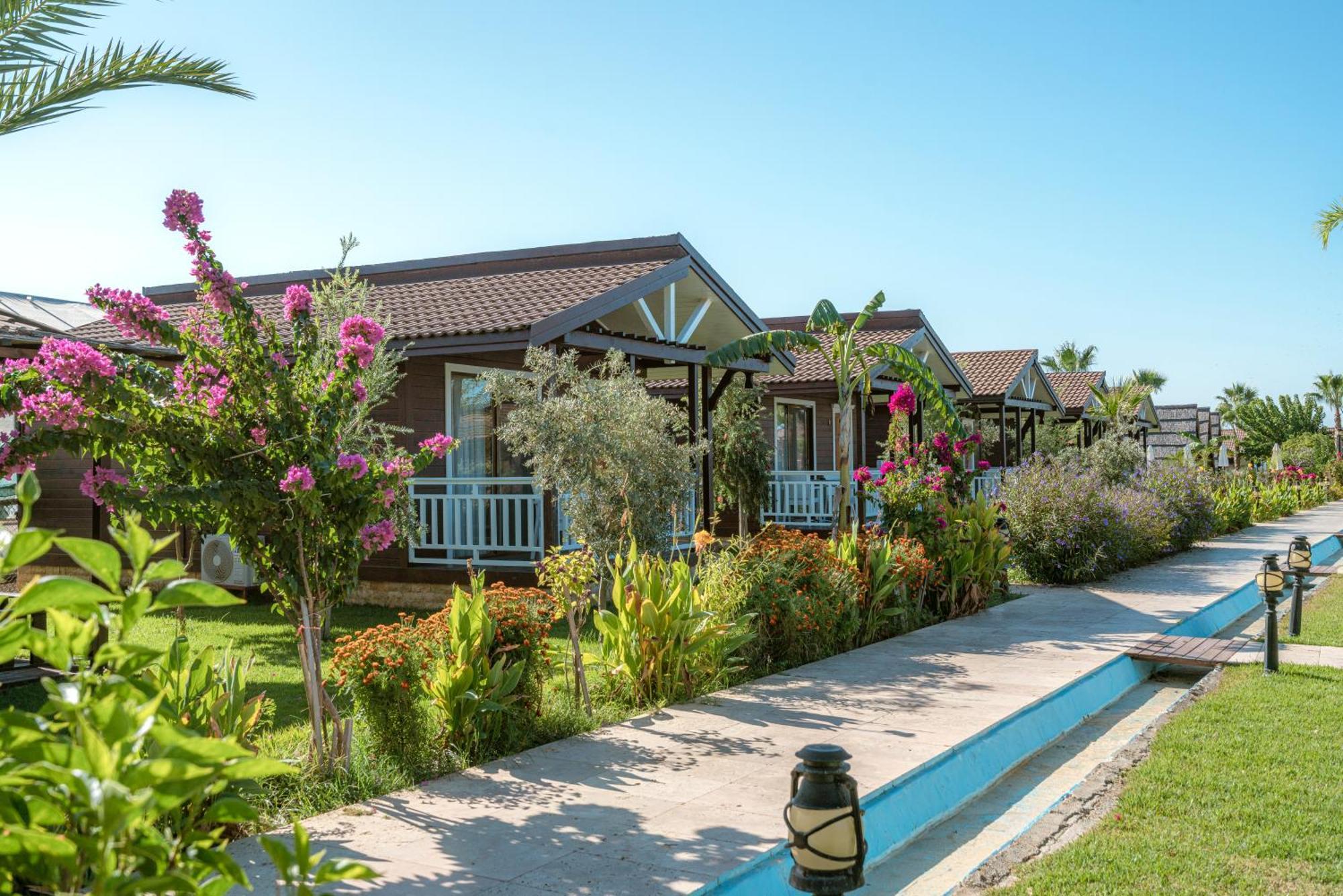 Sedir Park - Beach Bungalow Kargicak  Kültér fotó