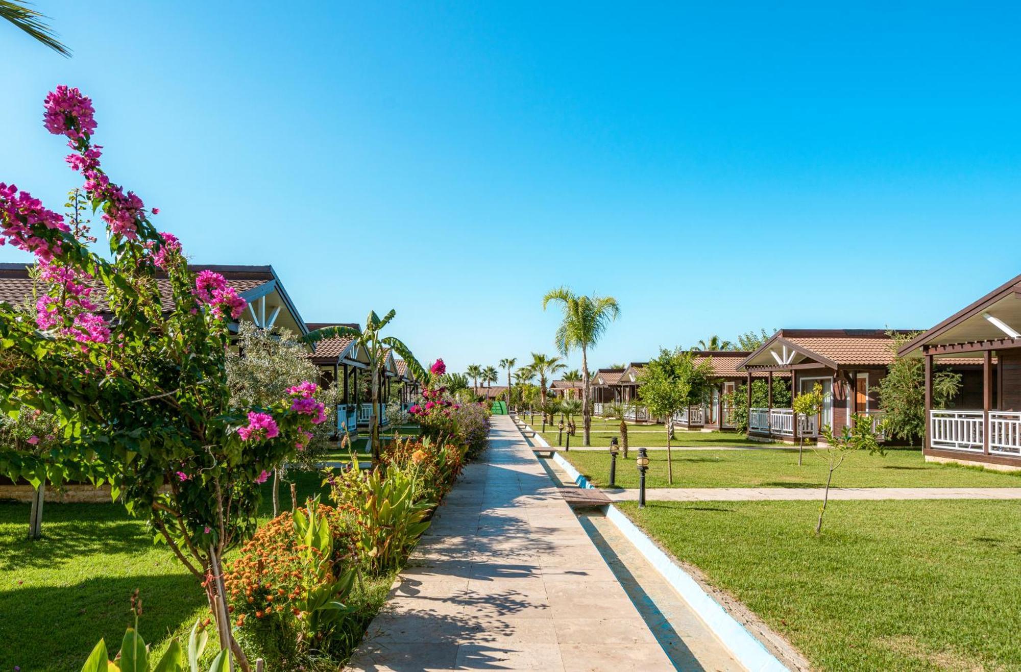 Sedir Park - Beach Bungalow Kargicak  Kültér fotó