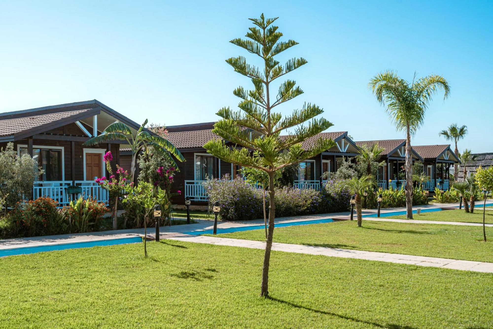 Sedir Park - Beach Bungalow Kargicak  Kültér fotó