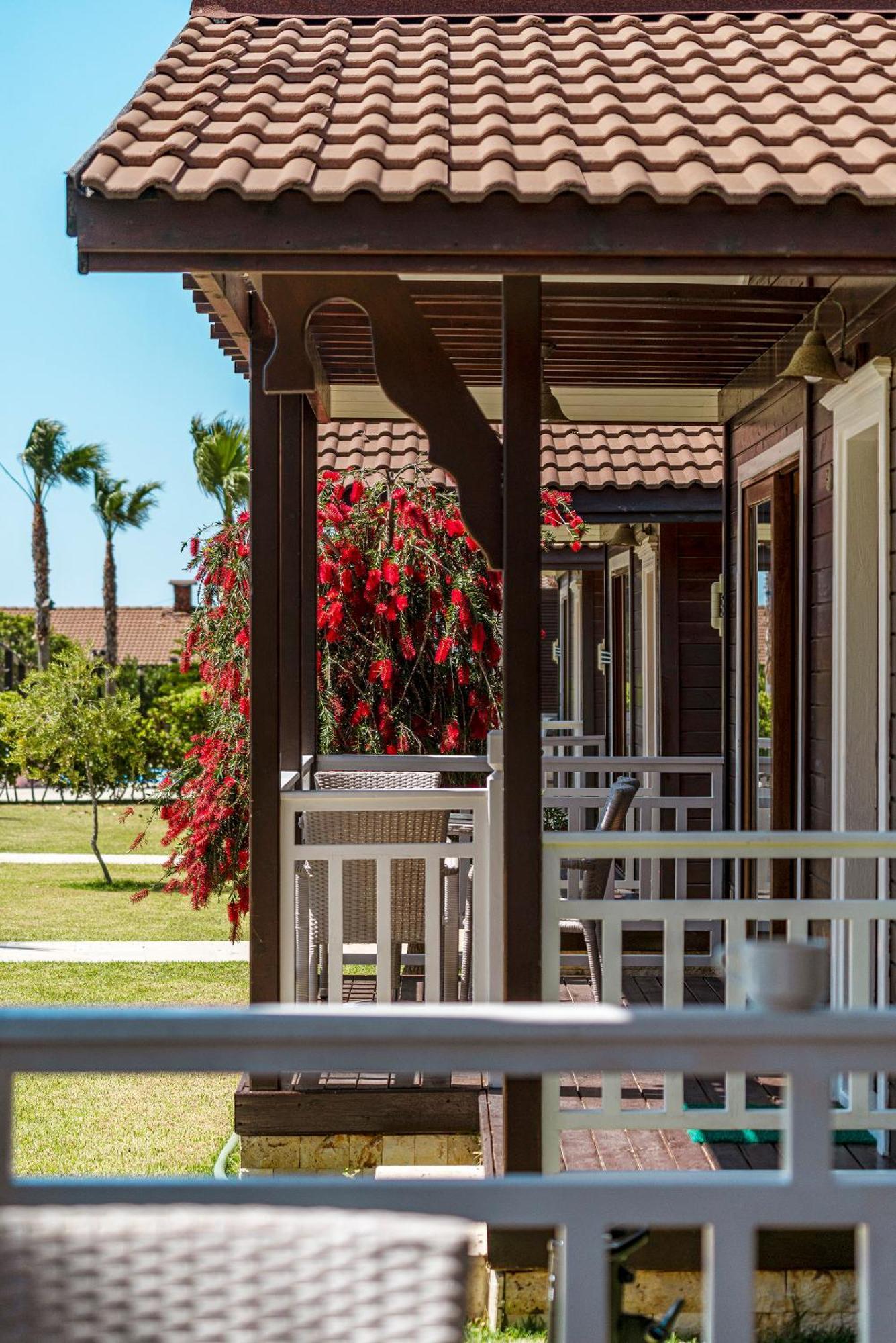 Sedir Park - Beach Bungalow Kargicak  Kültér fotó